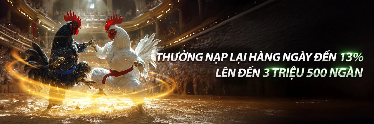 Đá Gà Trực Tuyến dom88